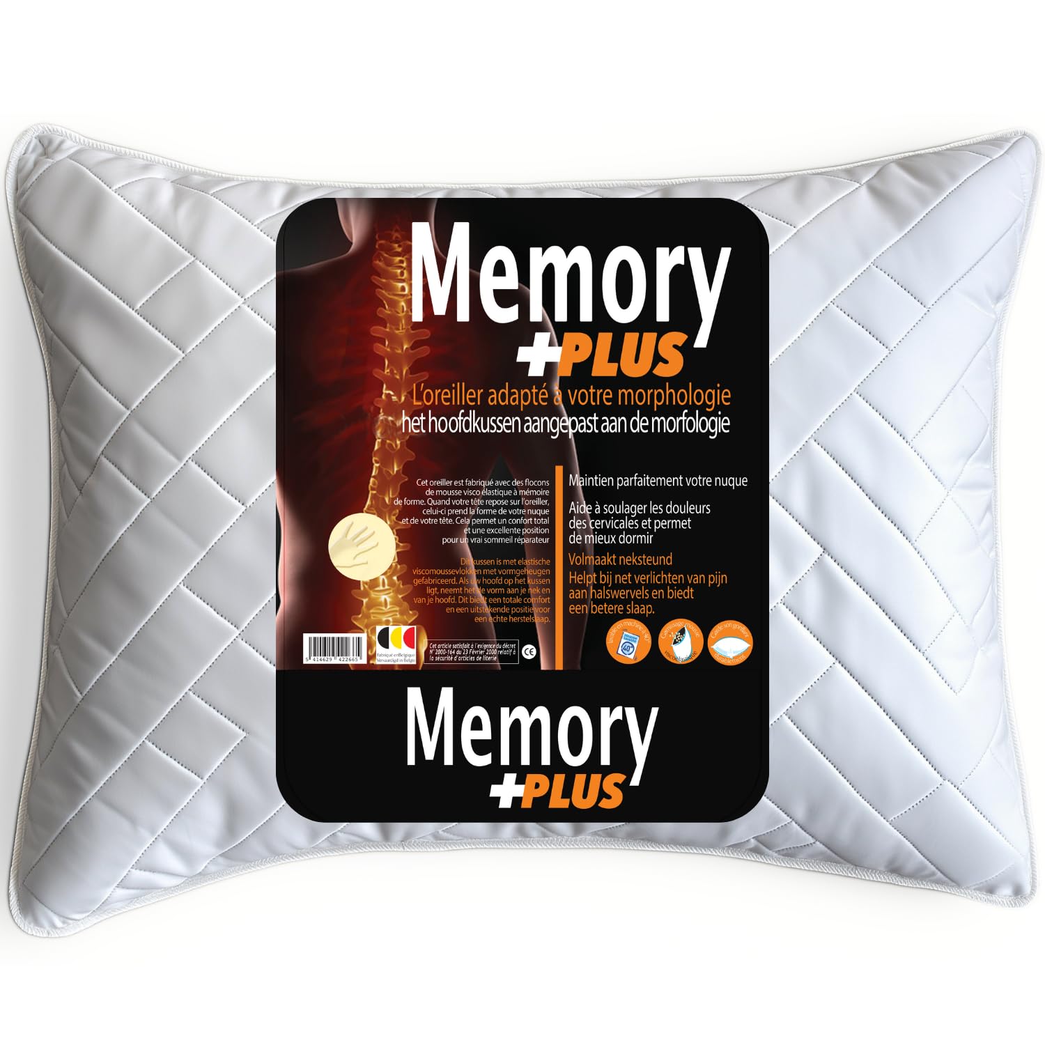 Chamberlain Down Pillow